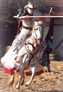 110/14th-century/chivalry/1206