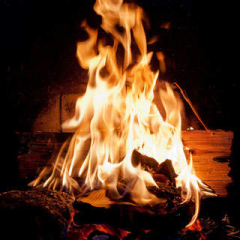 book-burning