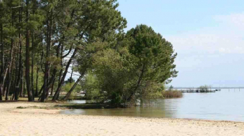 02-biscarrosse