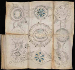 the-voynich-1