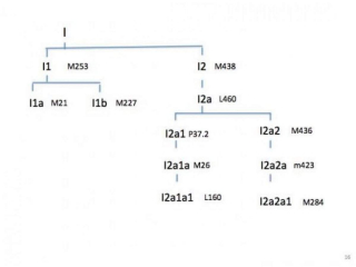 Haplogroup I cross reference