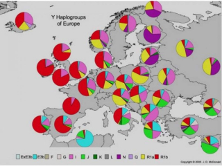 European Haplogroups