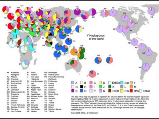 World Haplogroups