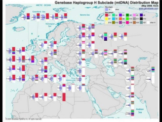 Mt DNA Haplogroups