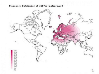 Mt-DNA H Helen, Eve's daughter in the Pyrrenees