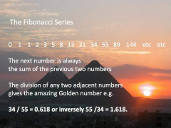 Fibonacci Series