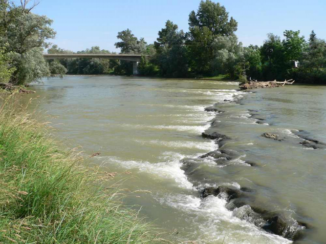 wier