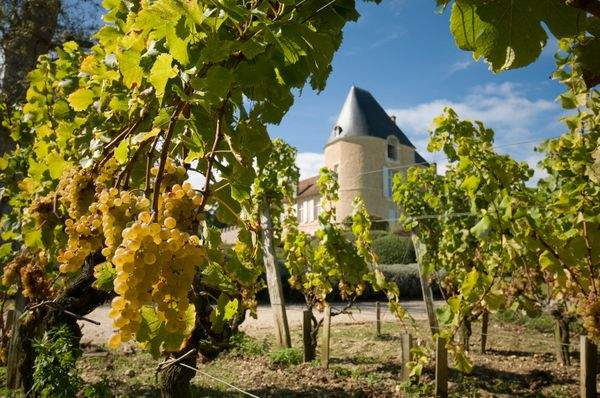 03-chateau-yquem