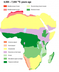 Insights/18/african-climate/134