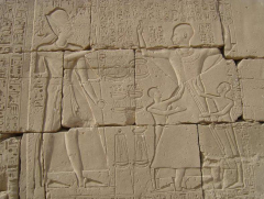 egyptian-records