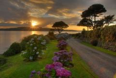 carrick-roads-sunset