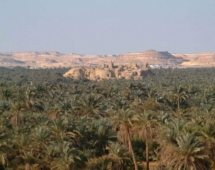 siwa
