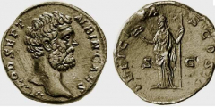 albinus