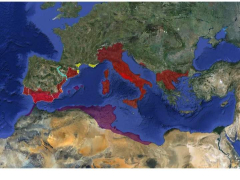 Accidental empire/178/Victory in Hispania/1725