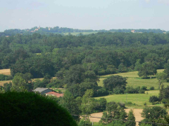typical-armagnac-countryside