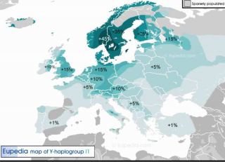 haplogroup I1 goths