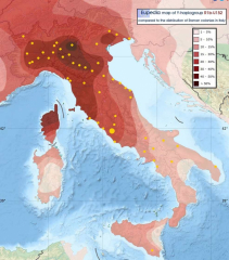 rib-in-italy