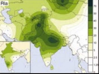 R1a in India