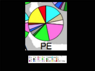 Persian-haplagroups