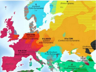 European Haplogroups identifying Sub Clades