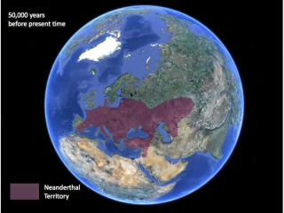 Neanderthals