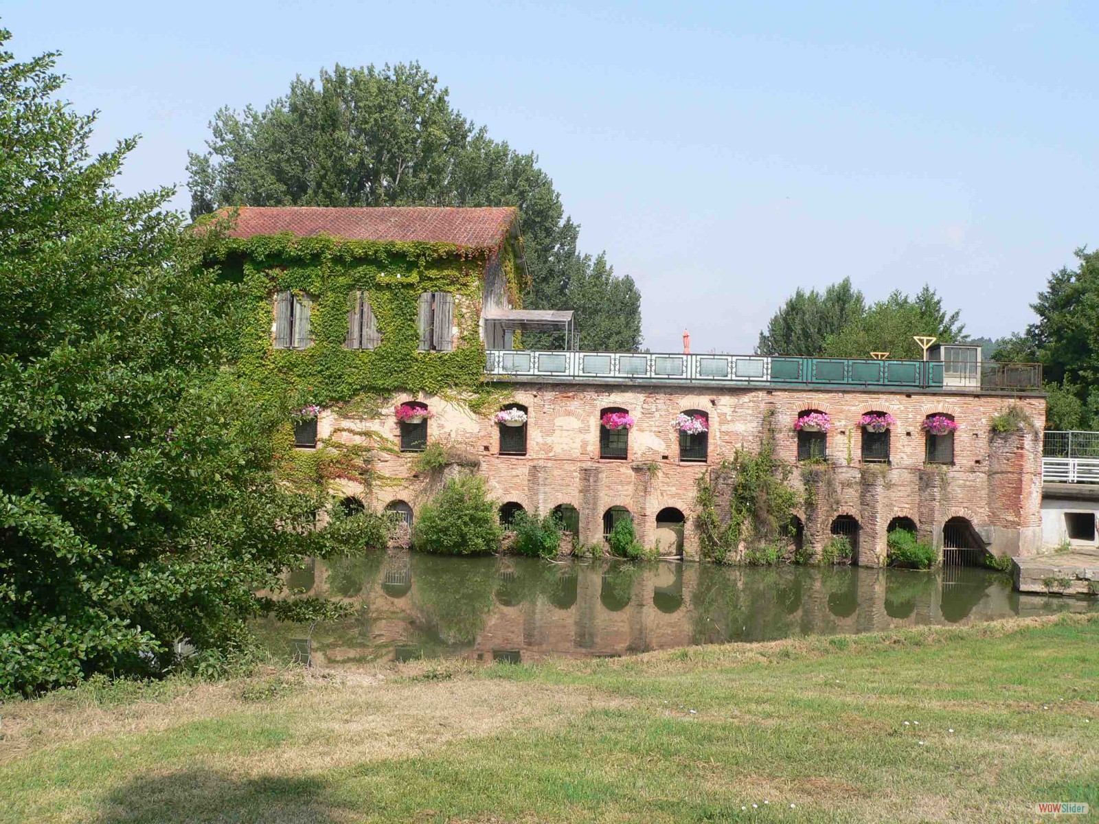 The Old mill -l' Isle de Beaucaire